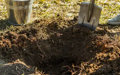 Person digging a hole with a shovel